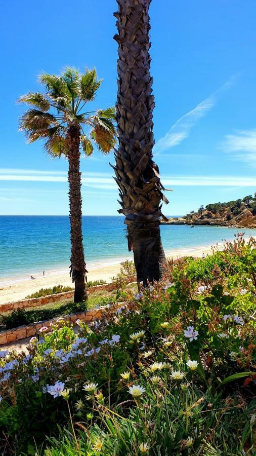 Sao Rafael Sun & Beach House Albufeira Dış mekan fotoğraf